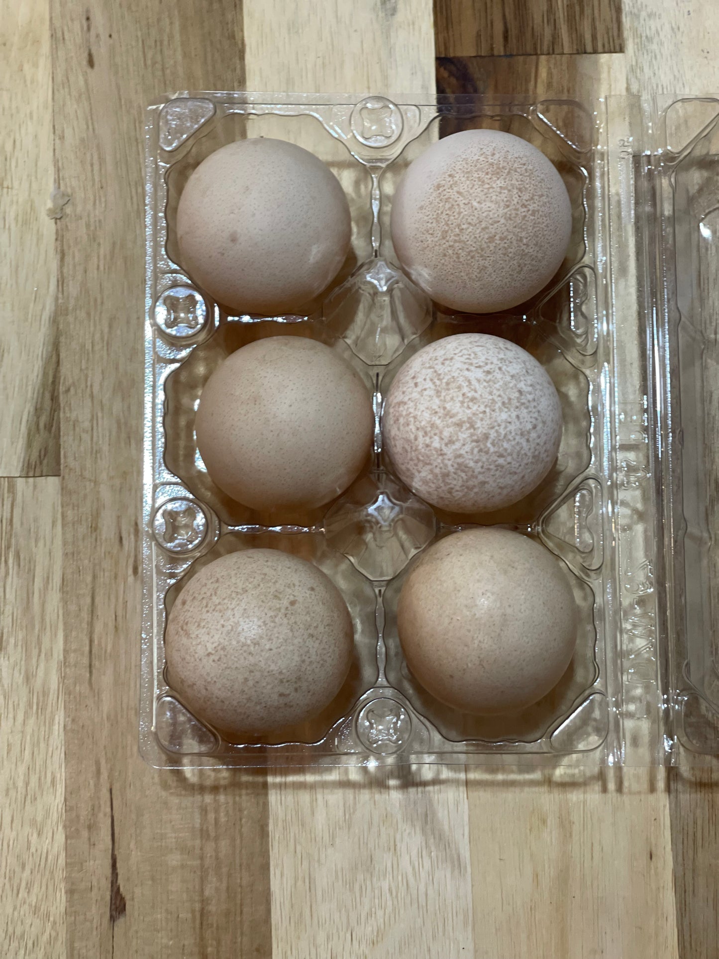 Pasture Raised Eggs