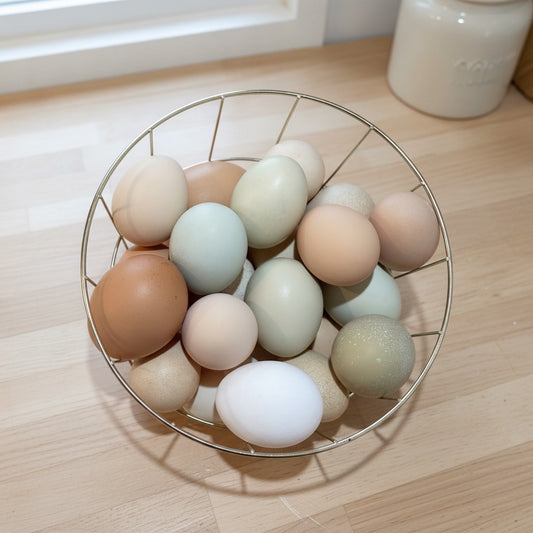 Pasture Raised Eggs LOCAL PICK UP
