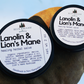 Lanolin & Lion’s Mane Multipurpose Healing Herbal Salve  | New Hampshire Made | Natural Antiseptic | Anti-inflammatory | Antibiotic |